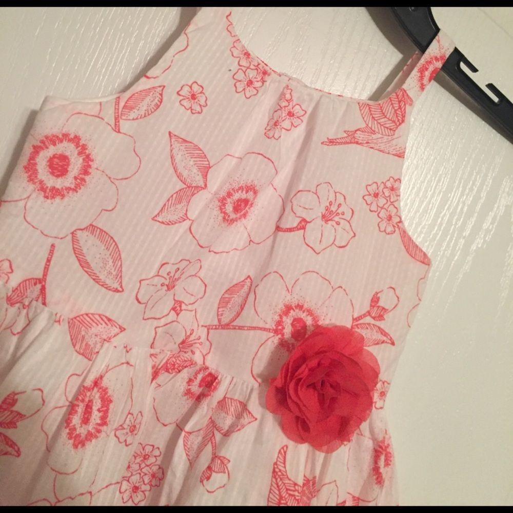 Birdie Coral Dress - Picture 2 of 5
